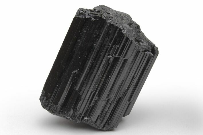 Lustrous Black Tourmaline (Schorl) Crystal - Madagascar #217271